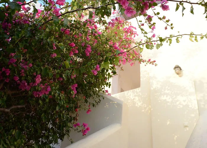 Kontseta Pensión 3*